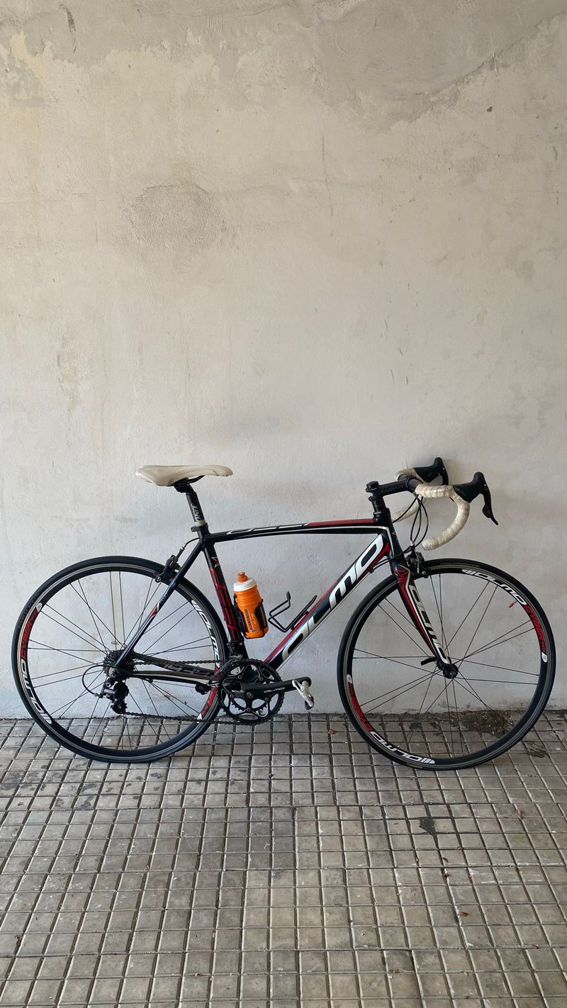 Used Olmo Custom Campagnolo Veloce 2013 Road & Gravel