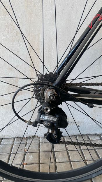 Used Olmo Custom Campagnolo Veloce 2013 Road & Gravel, Red — image 3 of 6