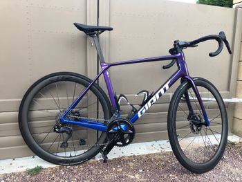 Brugt Giant TCR Advanced 0 2026 2026 Road & Gravel — billede 1 af 5