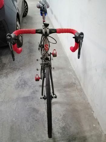 Used Serotta Custom Campagnolo Record 2003 Road & Gravel, Light Gray — image 4 of 7