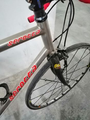 Used Serotta Custom Campagnolo Record 2003 Road & Gravel, Light Gray — image 5 of 7