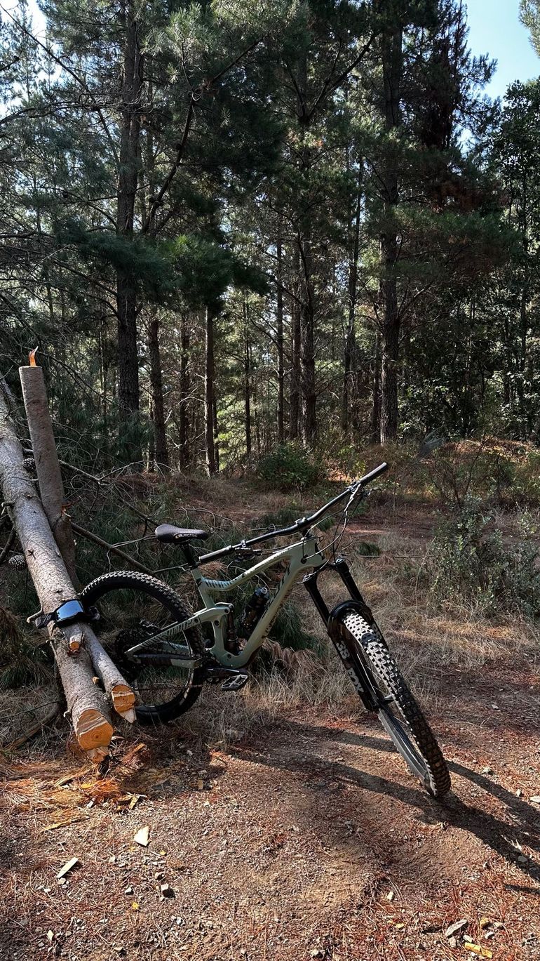 Used Scott Ransom 910 2021 2021 Mountainbike, Green, 29 — image 5 of 7