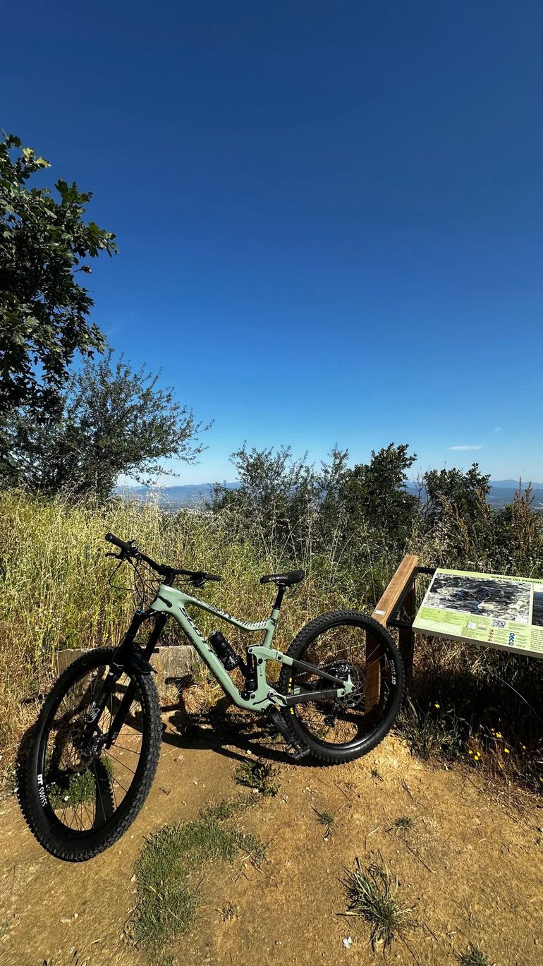 Used Scott Ransom 910 2021 2021 Mountainbike, Green, 29 — image 7 of 7