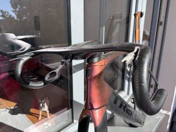 Brugt Trek Madone SL 6 Di2 2023 Frameset 2023 Road & Gravel — billede 8 af 9