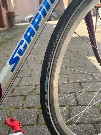 Gebrauchtes SCAPIN Rennrad 1995 Road & Gravel, Hellgrau — Bild 4 von 4