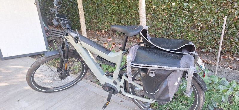 Used Riese & Müller GT Rohloff HS 2022 Urban & Touring