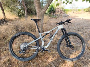 Used Cannondale Scalpel 3 2024 2024 MTB