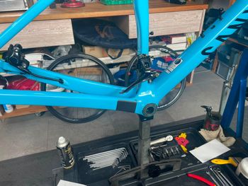 Used Canyon Endurace CF 8 2022 2022 Road & Gravel, Blue — image 5 of 23