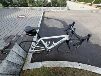 Käytetty Canyon Roadlite Shimano Ultegra 2010 Road & Gravel — kuva 2 / 8