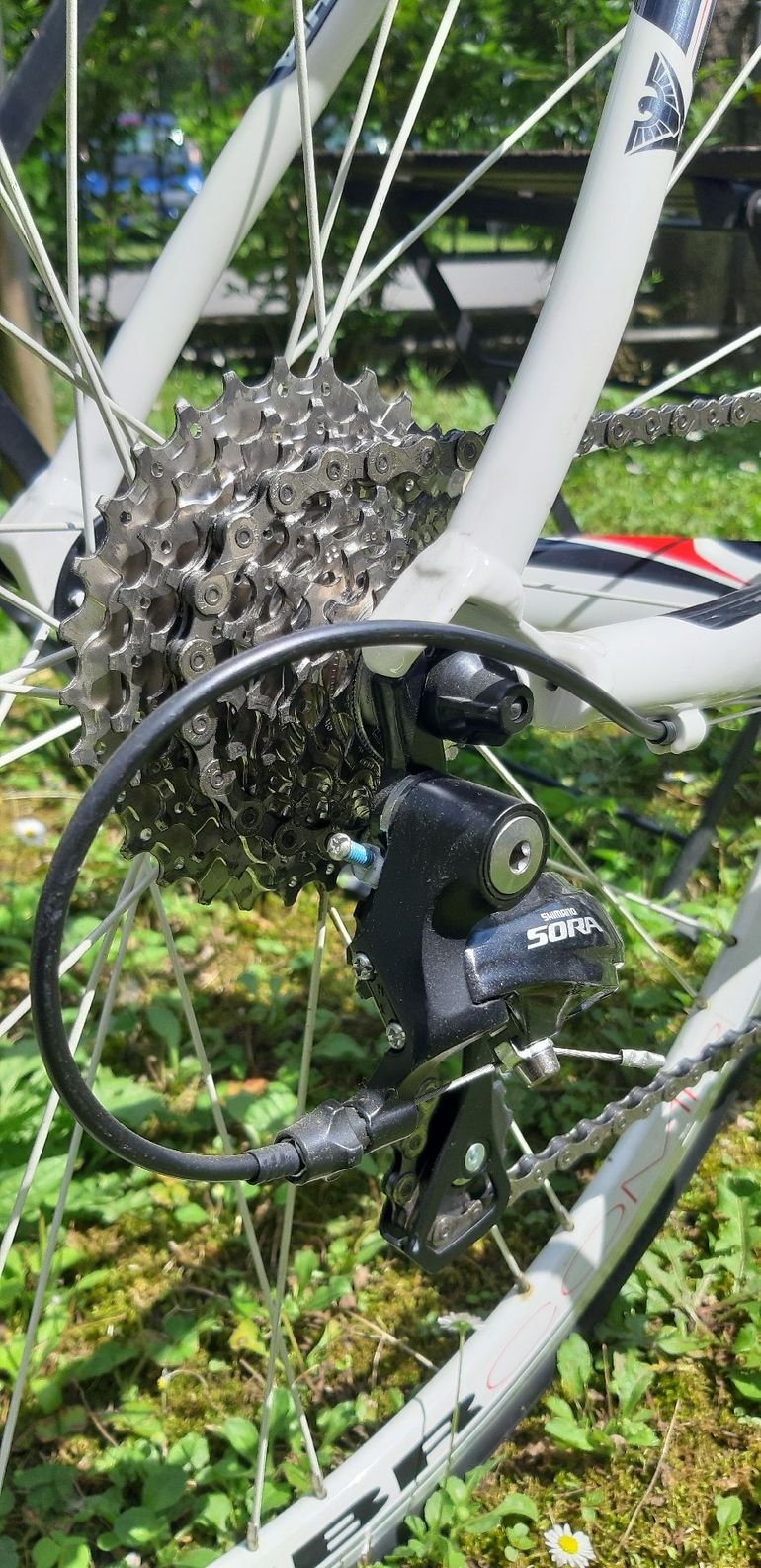 Używany Bottecchia Duello Shimano Sora 2020 Road & Gravel — zdjęcie 3 z 4