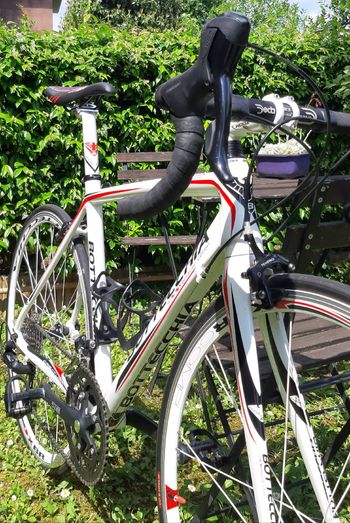 Używany Bottecchia Duello Shimano Sora 2020 Road & Gravel — zdjęcie 4 z 4