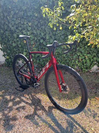 BH RS1 3.5 2023 2023 Road & Gravel de segunda mano, Rojo — imagen 3 de 8