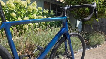 Tweedehands BH SL1 2.9 2024 2024 Road & Gravel — afbeelding 3 van 14