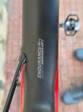 Used Scott Addict 20 2019 2019 Road & Gravel, Red — image 7 of 12
