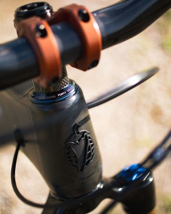 Used Salsa Cassidy SRAM XX1 Eagle AXS 2021 Mountainbike, Black — image 8 of 11