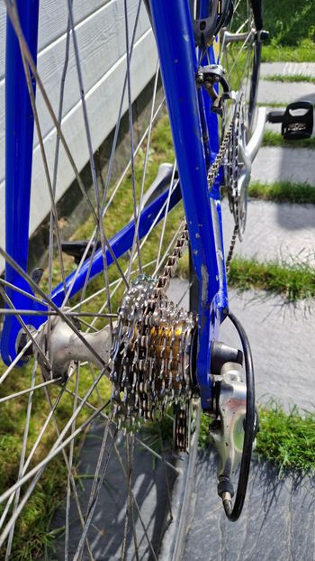 Used CIÖCC Pryde 2005 Road & Gravel, Blue — image 2 of 6