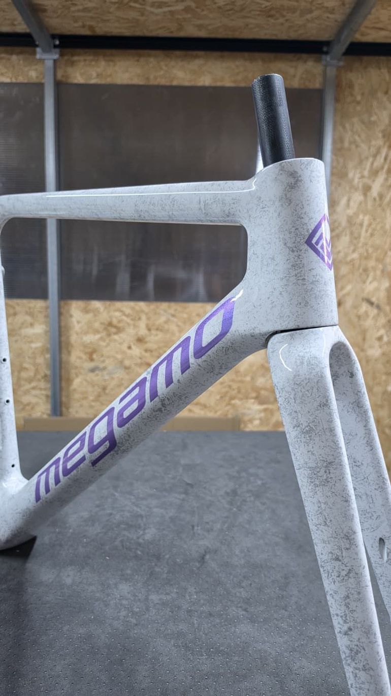 Brugt Megamo PULSE ELITE 03 SH12 2023 Frameset 2023 Road & Gravel — billede 13 af 13
