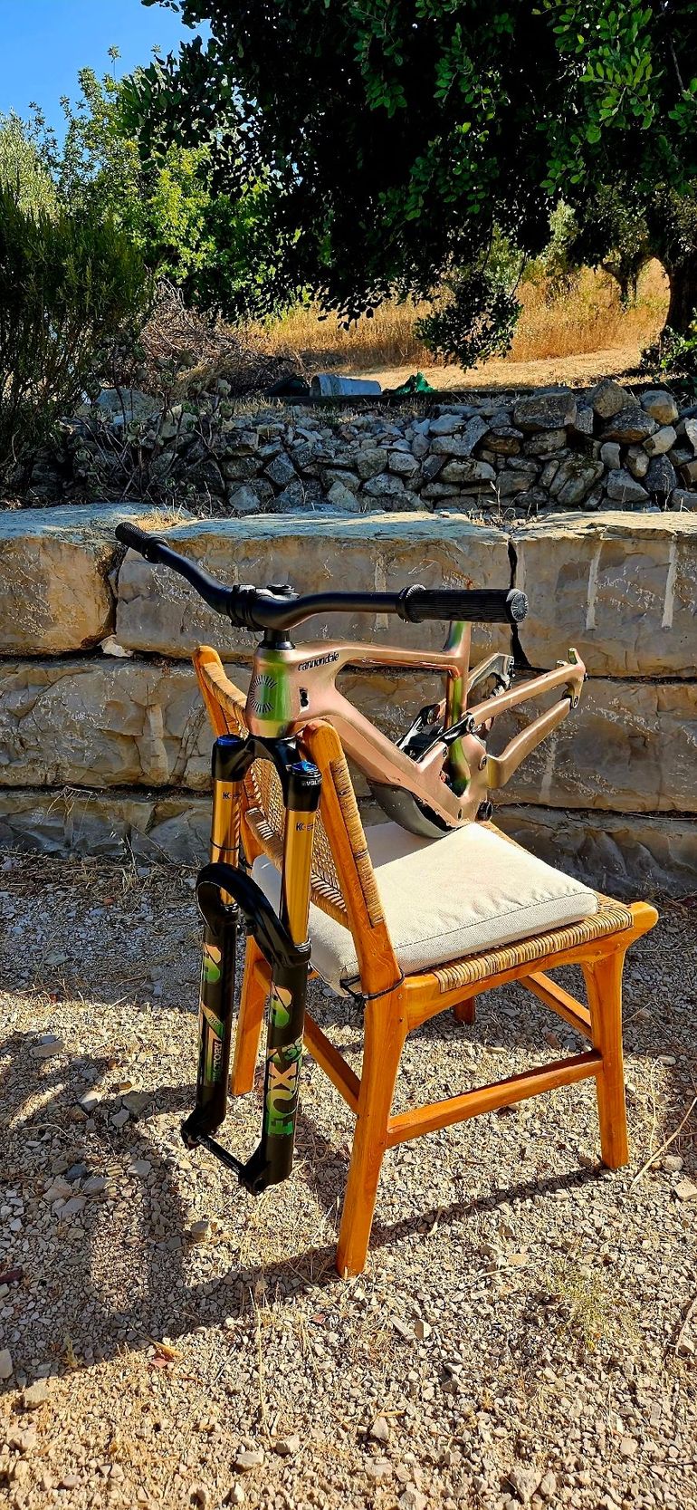 Cannondale Jekyll 1 2023 Frameset 2023 Mountainbike d'occasion — image 1 sur 4