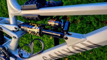 Used Canyon Torque 5 2025 2025 Mountainbike, Light Gray, 29, 27.5 — image 5 of 11