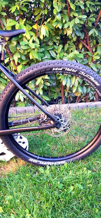 Używany BULLS COPPERHEAD 3 29 2025 2025 Mountainbike — zdjęcie 7 z 10