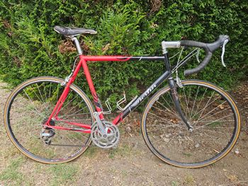 Used Bertin Custom Shimano Sora 1999 Road & Gravel, Red — image 1 of 7