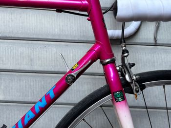 Used Giant Custom Other Shimano 1995 Road & Gravel, Purple — image 7 of 11