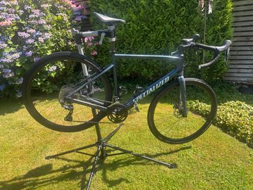 Used Specialized Diverge Sport Carbon 2021 2021 Road & Gravel