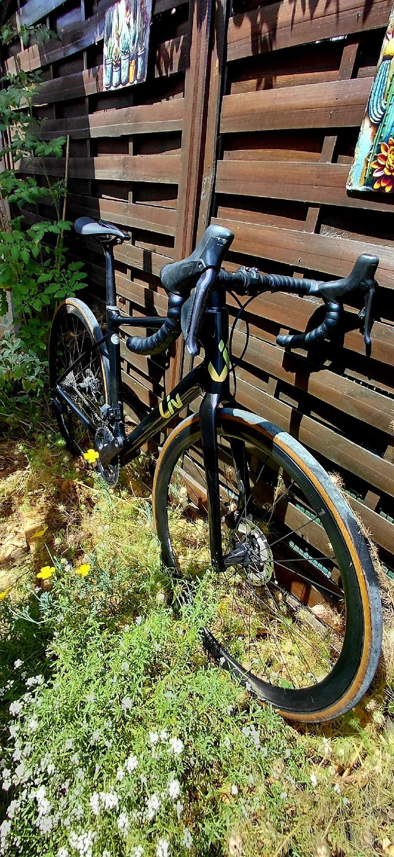 Liv Avail Advanced Pro 1 2022 2022 Road & Gravel usato, Nero — immagine 5 di 5