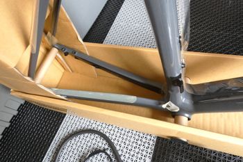 Used BMC TEAMMACHINE SLR 01 MODULE 2019 Frameset 2019 Road & Gravel, Light Gray — image 15 of 25
