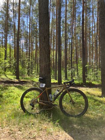 Brugt Specialized Crux Expert 2024 2024 Road & Gravel — billede 2 af 3