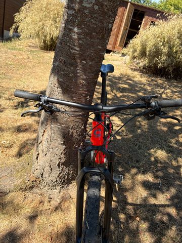 Used Cannondale Trail 2 2020 2020 Mountainbike, Orange, 29 — image 4 of 9