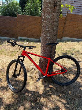 Cannondale Trail 2 2020 2020 Mountainbike d'occasion — image 1 sur 9