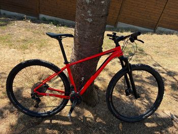 Cannondale Trail 2 2020 2020 Mountainbike d'occasion — image 7 sur 9