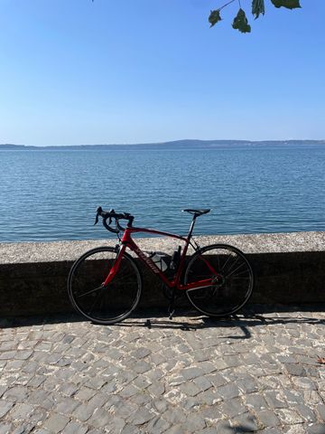 Brugt Specialized Roubaix SL4 Sport 105 2014 2014 Road & Gravel