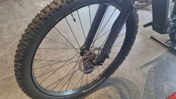 Używany Lee Cougan E-QUEST Race 2025 2025 Mountainbike — zdjęcie 9 z 13