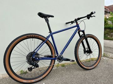 Bice Ramingo 2022 Mountainbike d'occasion — image 10 sur 12