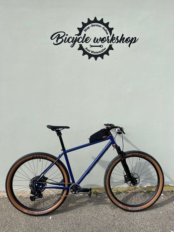 Bice Ramingo 2022 Mountainbike usato, Blu — immagine 11 di 12