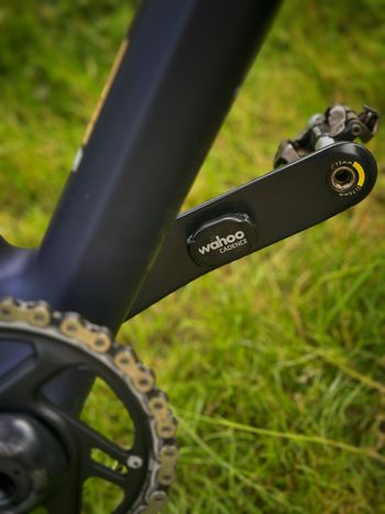Used Canyon Exceed CF SLX 2023 2023 Mountainbike, Blue, 29 — image 12 of 12