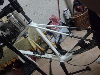 Megamo RAISE 20 2023 Frameset 2023 Road & Gravel d'occasion — image 4 sur 5