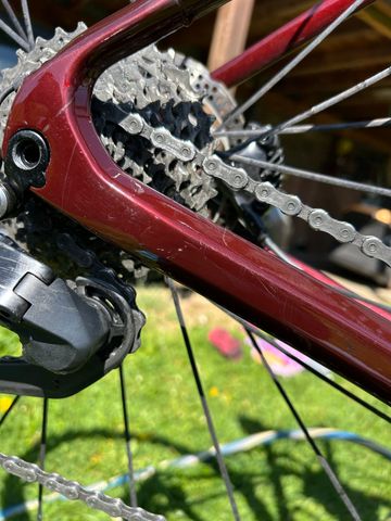 Used Radon VAILLANT 8.0 2024 2024 Road & Gravel, Red — image 3 of 7