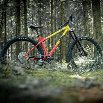 Used Ragley Big Wig Race 2020 Frameset 2020 Mountainbike, Red, 29 — image 5 of 5