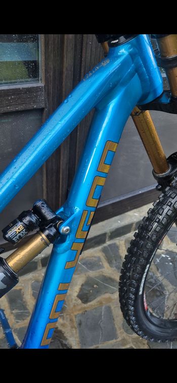 Tweedehands Polygon COLLOSUS DH9 2025 Frameset 2025 Mountainbike — afbeelding 2 van 10