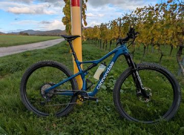 Cannondale Scalpel Carbon SE 1 2024 2024 MTB usato