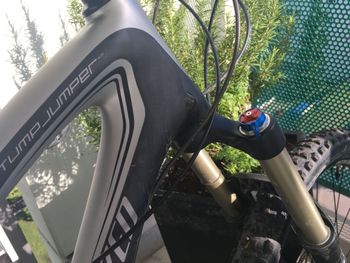 Brugt Specialized Stumpjumper Carbon FSR (Modelljahr 2012) mit Shimano XTR 2012 Mountainbike — billede 4 af 7