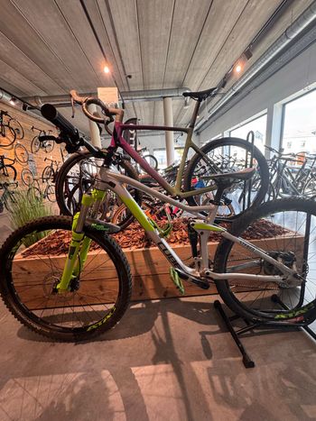 Brugt CUBE STEREO 120 Pro 29 2019 2019 Mountainbike — billede 1 af 3