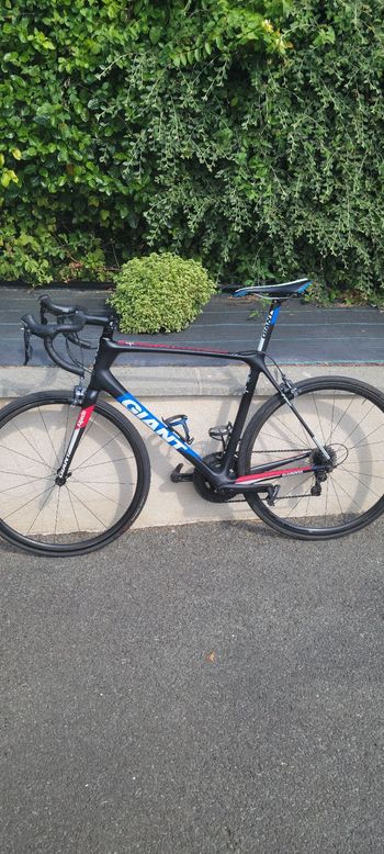 Brugt Giant TCR Advanced Pro Team 2018 2018 Road & Gravel — billede 2 af 3