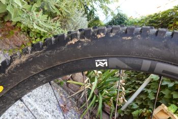 Propain Tyee AL 29 Start 2022 2022 Mountainbike usato, Grigio chiaro — immagine 2 di 10