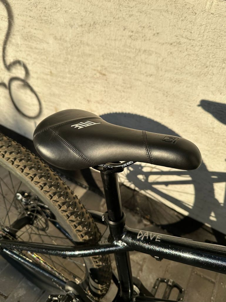 Used Cannondale Dave Other 2024 Mountainbike, Black — image 15 of 17