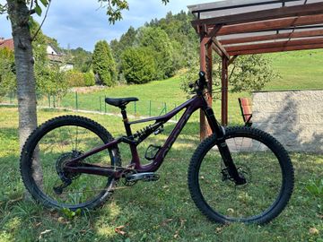 Tweedehands Orbea RALLON M10 2022 Frameset 2022 MTB