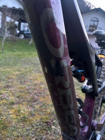 Tweedehands Orbea RALLON M10 2022 Frameset 2022 Mountainbike — afbeelding 5 van 5
